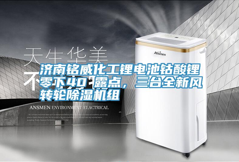 濟(jì)南銘威化工鋰電池鈷酸鋰零下40℃露點(diǎn)，三臺全新風(fēng)轉(zhuǎn)輪除濕機(jī)組