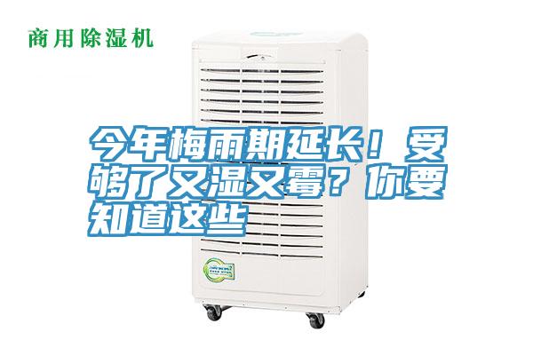 今年梅雨期延長(zhǎng)！受夠了又濕又霉？你要知道這些