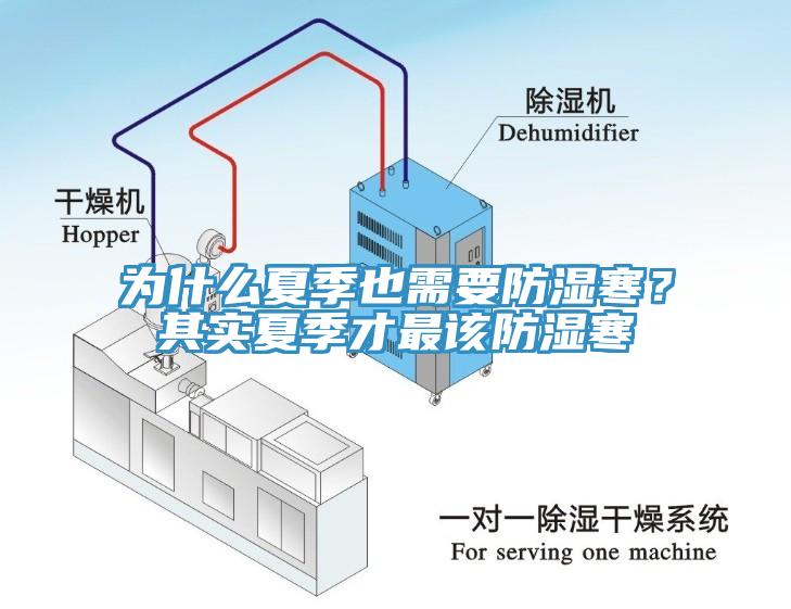 為什么夏季也需要防濕寒？其實(shí)夏季才最該防濕寒