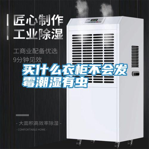 買什么衣柜不會(huì)發(fā)霉潮濕有蟲(chóng)