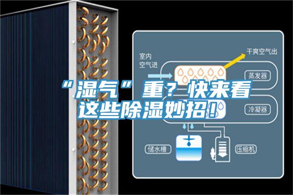 “濕氣”重？快來看這些除濕妙招！
