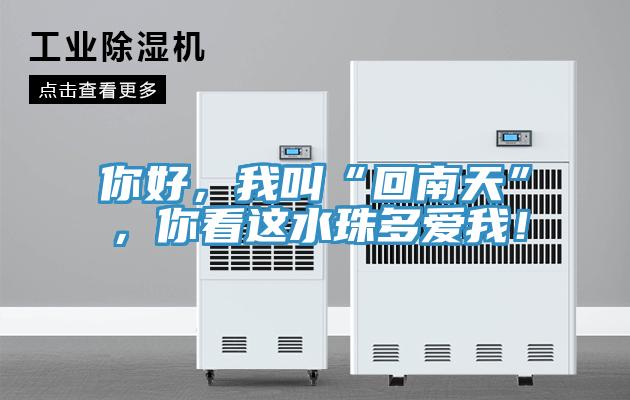 你好，我叫“回南天”，你看這水珠多愛我！