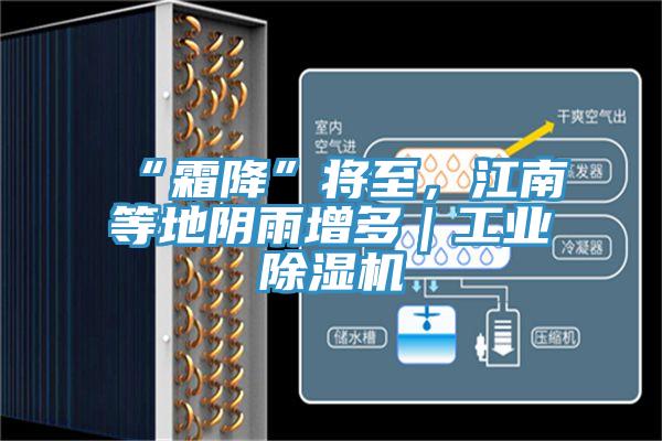 “霜降”將至，江南等地陰雨增多｜工業(yè)除濕機(jī)