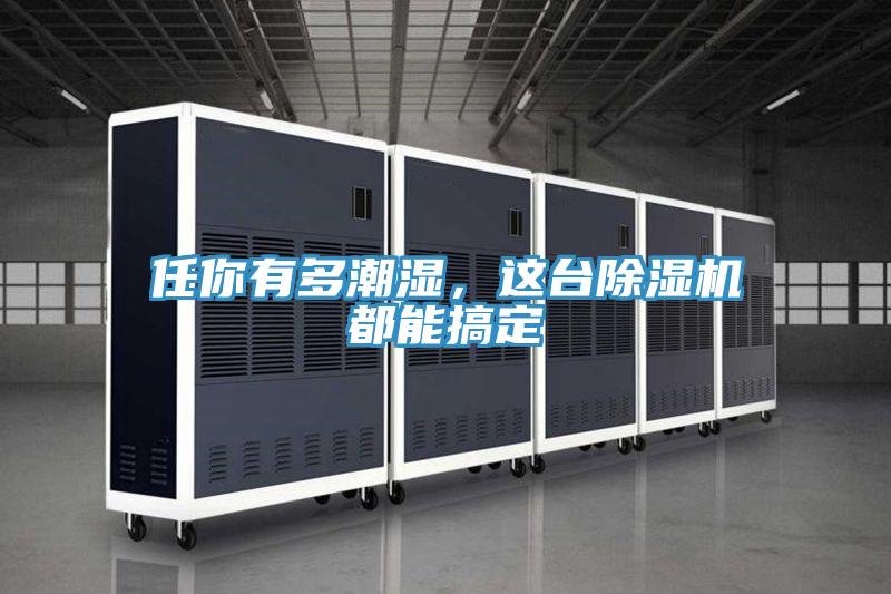 任你有多潮濕，這臺除濕機都能搞定