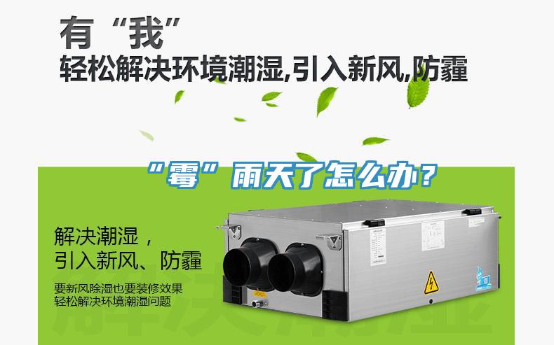 “霉”雨天了怎么辦？