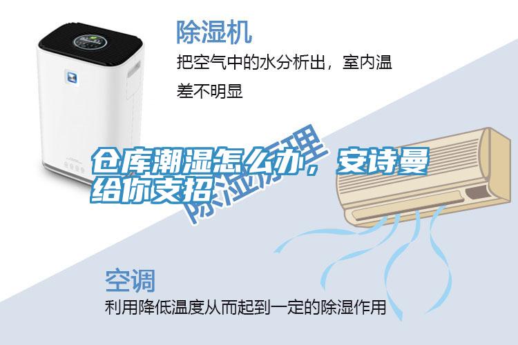 倉庫潮濕怎么辦，安詩曼給你支招