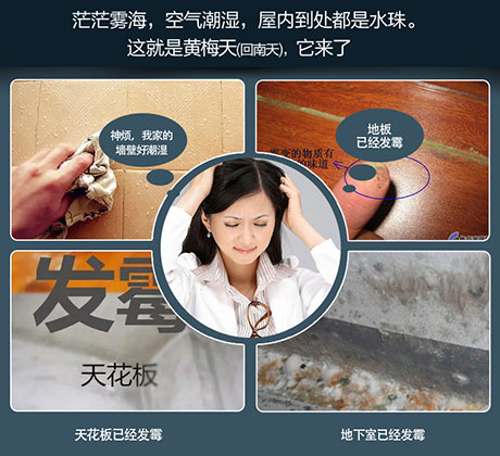 家庭別墅的地下室、衛(wèi)生間、儲物室等該如何除濕？