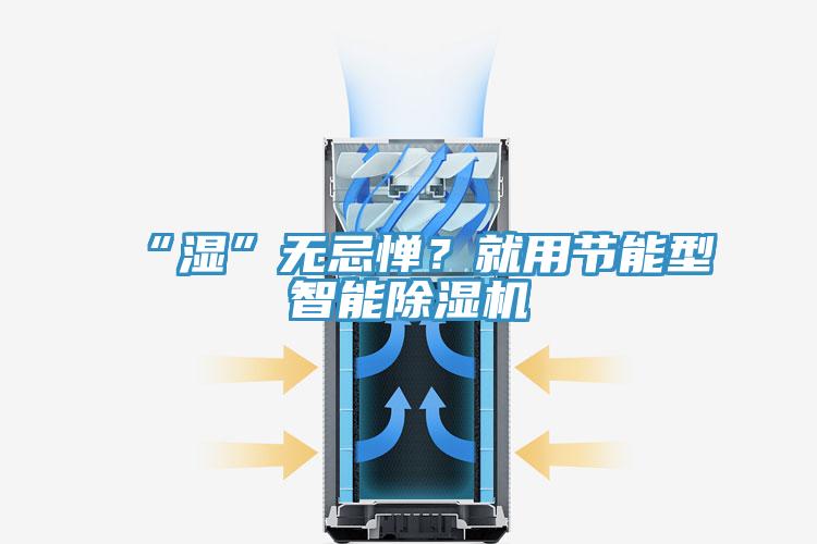 “濕”無忌憚？就用節(jié)能型智能除濕機