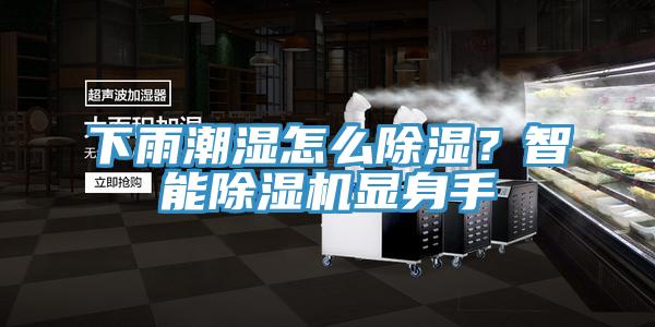下雨潮濕怎么除濕？智能除濕機顯身手
