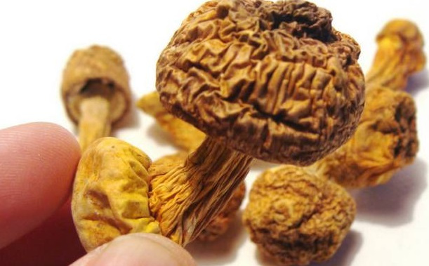 巴西菇、姬松茸烘干機(jī)-怎樣烘干色澤好且菇體褶片完整？