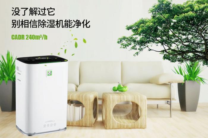 一到回南天狗狗就感冒+皮膚病，怎么辦？