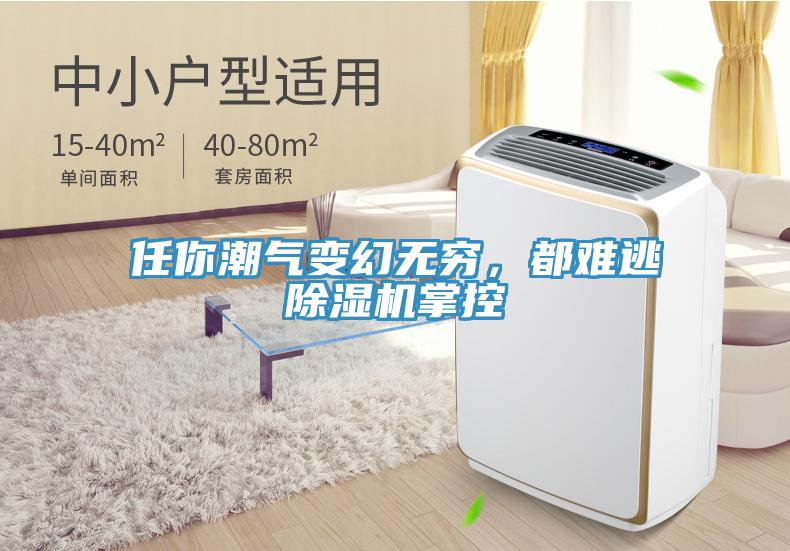 任你潮氣變幻無窮，都難逃除濕機掌控