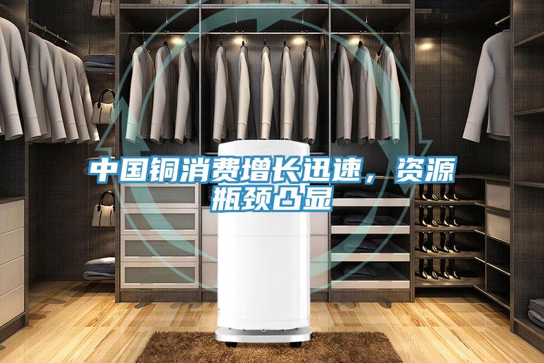 中國銅消費增長迅速，資源瓶頸凸顯