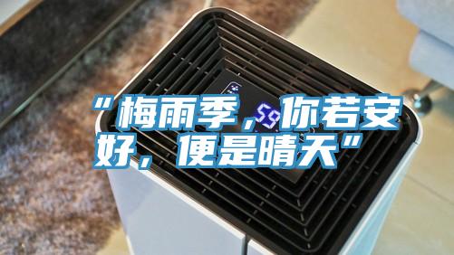 “梅雨季，你若安好，便是晴天”