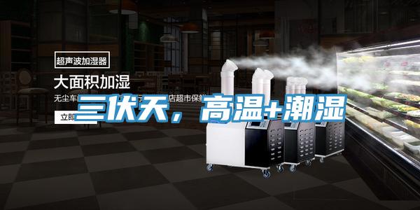三伏天，高溫+潮濕