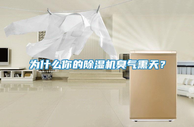為什么你的除濕機臭氣熏天？