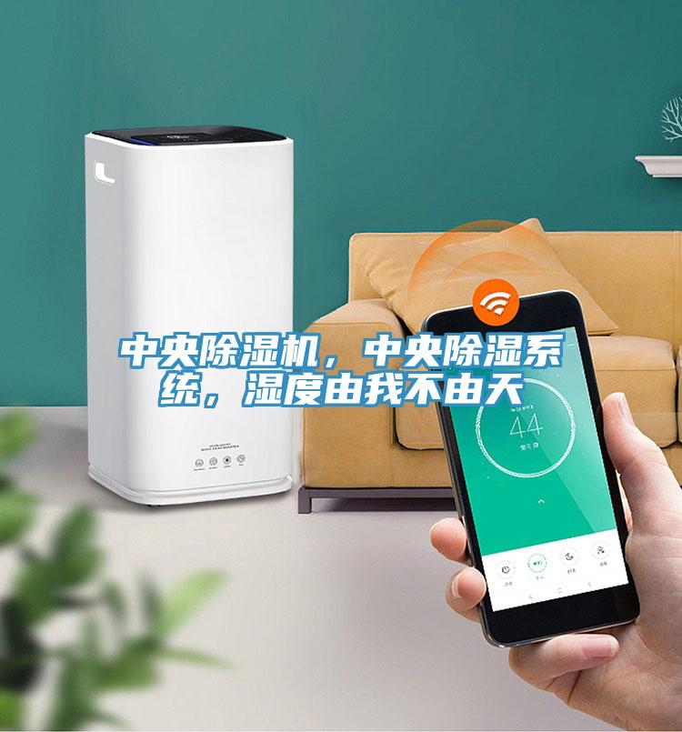 中央除濕機(jī)，中央除濕系統(tǒng)，濕度由我不由天
