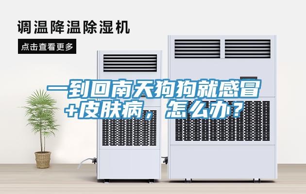 一到回南天狗狗就感冒+皮膚病，怎么辦？