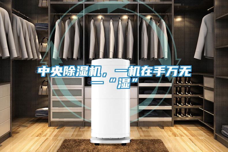 中央除濕機(jī)，一機(jī)在手萬無一“濕”