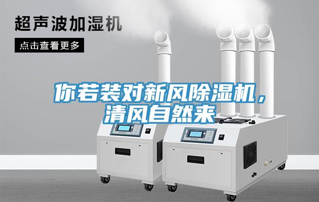 你若裝對新風除濕機，清風自然來