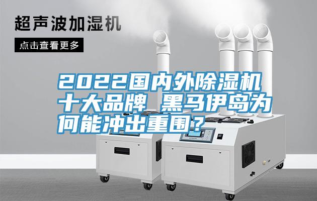 2022國內(nèi)外除濕機(jī)十大品牌 黑馬伊島為何能沖出重圍？