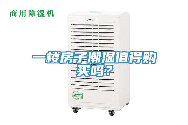 一樓房子潮濕值得購買嗎？