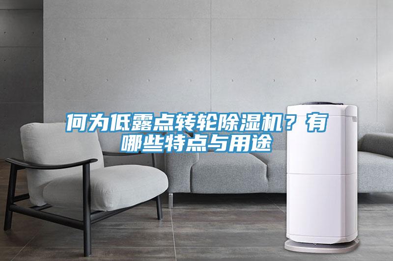 何為低露點轉(zhuǎn)輪除濕機？有哪些特點與用途