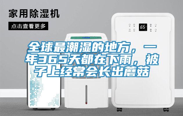 全球最潮濕的地方，一年365天都在下雨，被子上經(jīng)常會(huì)長(zhǎng)出蘑菇