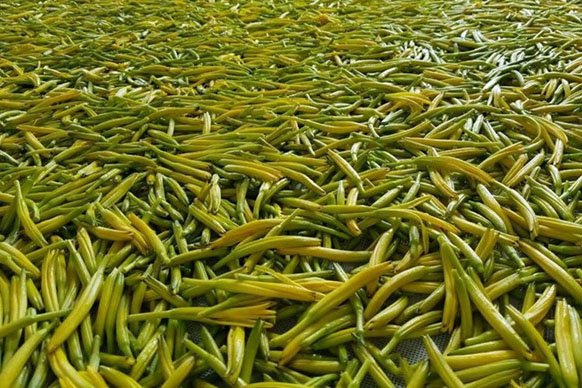 無硫金針菜烘干如何保持品相？不發(fā)黑？_除濕機廠家