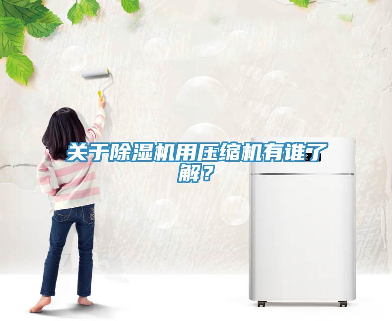 關(guān)于除濕機(jī)用壓縮機(jī)有誰了解？