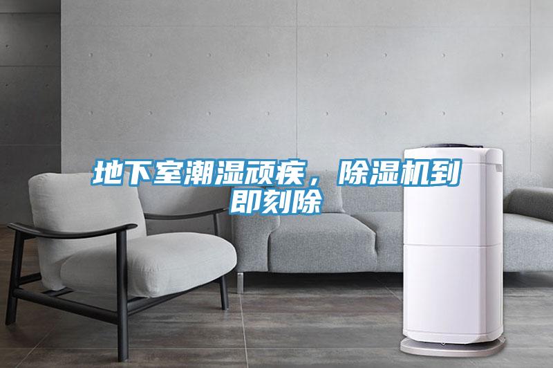 地下室潮濕頑疾，除濕機到即刻除