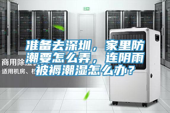 準備去深圳，家里防潮要怎么弄，連陰雨被褥潮濕怎么辦？