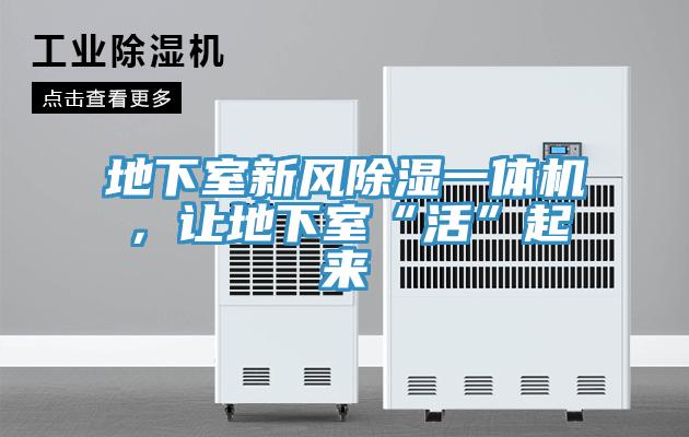 地下室新風(fēng)除濕一體機(jī)，讓地下室“活”起來(lái)