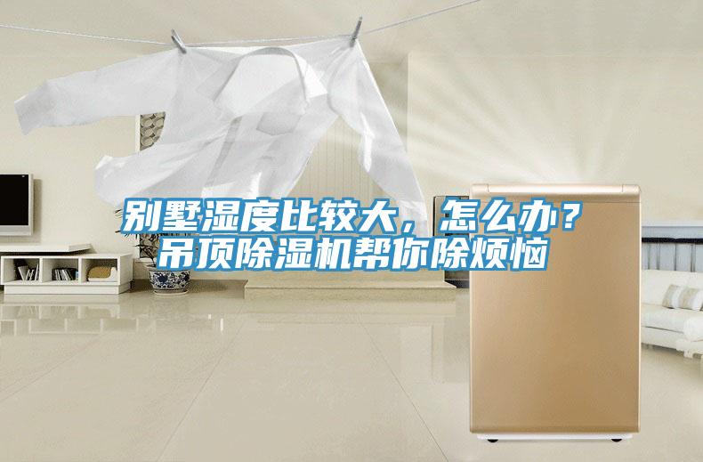 別墅濕度比較大，怎么辦？吊頂除濕機幫你除煩惱