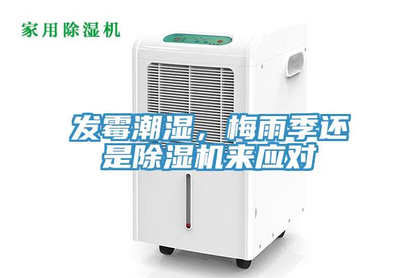發(fā)霉潮濕，梅雨季還是除濕機來應(yīng)對