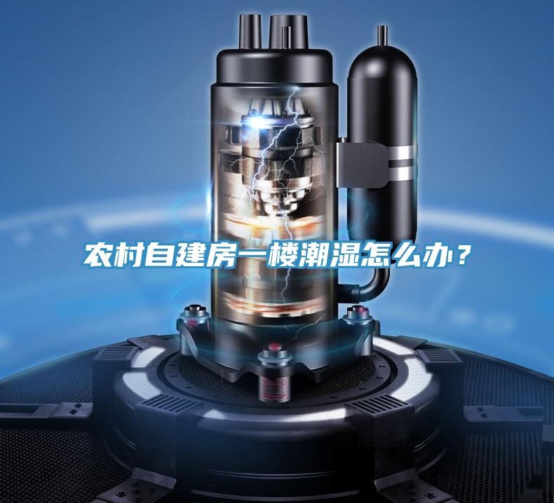 農(nóng)村自建房一樓潮濕怎么辦？