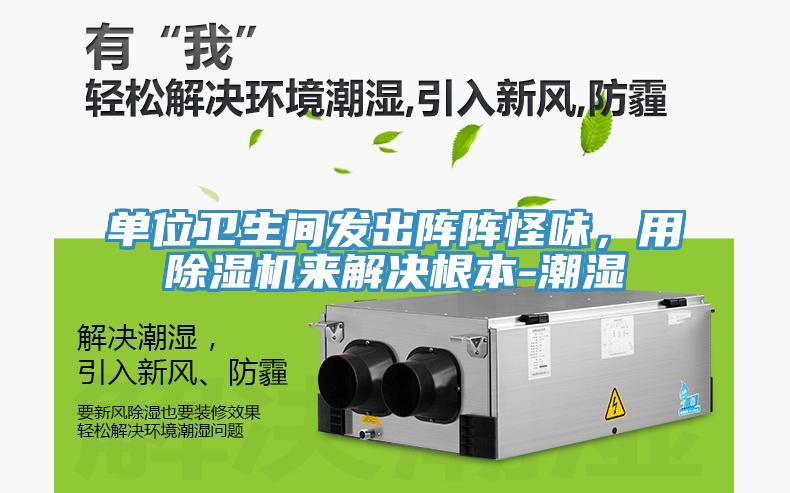 單位衛(wèi)生間發(fā)出陣陣怪味，用除濕機來解決根本-潮濕