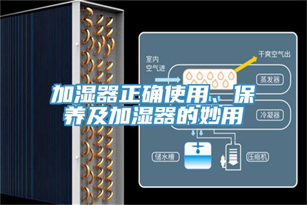 加濕器正確使用、保養(yǎng)及加濕器的妙用