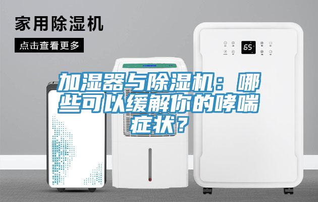 加濕器與除濕機：哪些可以緩解你的哮喘癥狀？