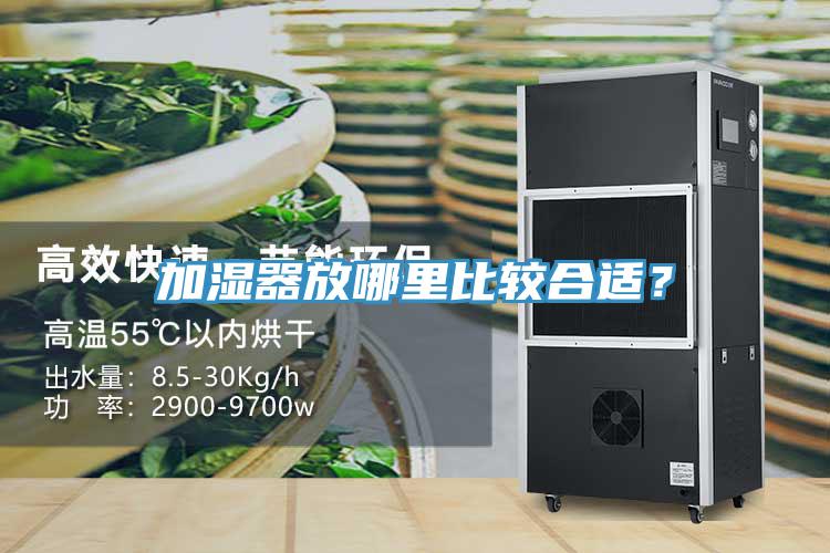 加濕器放哪里比較合適？
