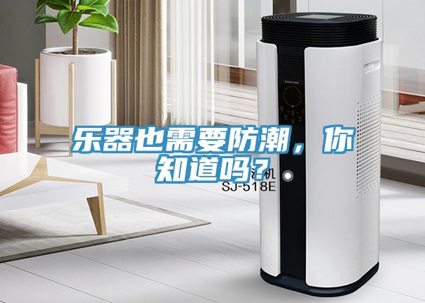 樂器也需要防潮，你知道嗎？