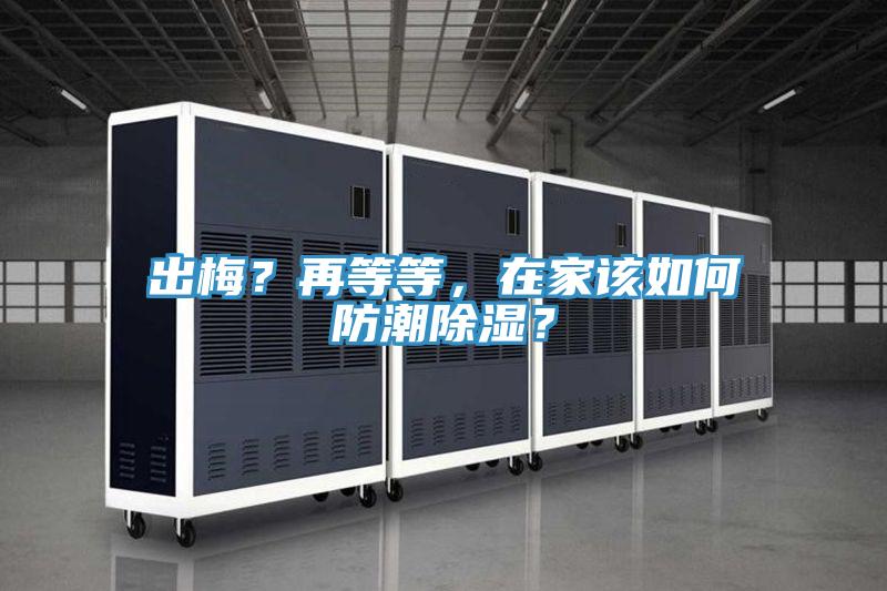 出梅？再等等，在家該如何防潮除濕？