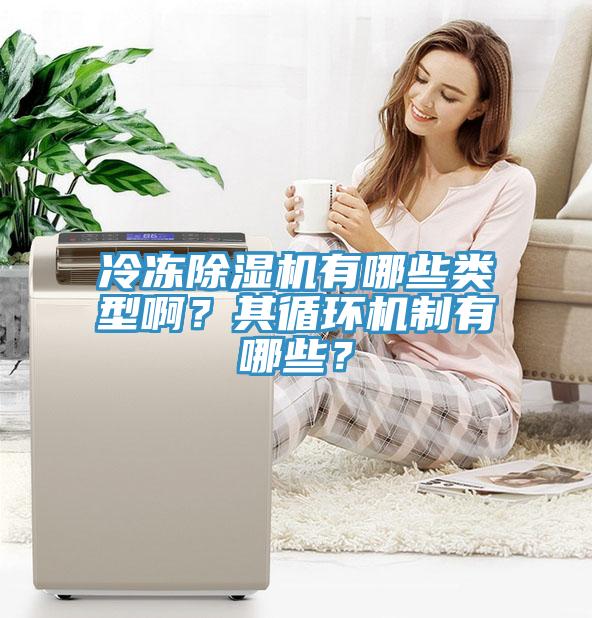 冷凍除濕機(jī)有哪些類型啊？其循環(huán)機(jī)制有哪些？