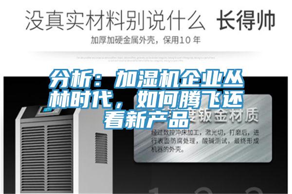 分析：加濕機企業(yè)叢林時代，如何騰飛還看新產(chǎn)品