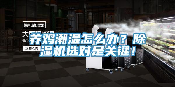 養(yǎng)雞潮濕怎么辦？除濕機(jī)選對(duì)是關(guān)鍵！