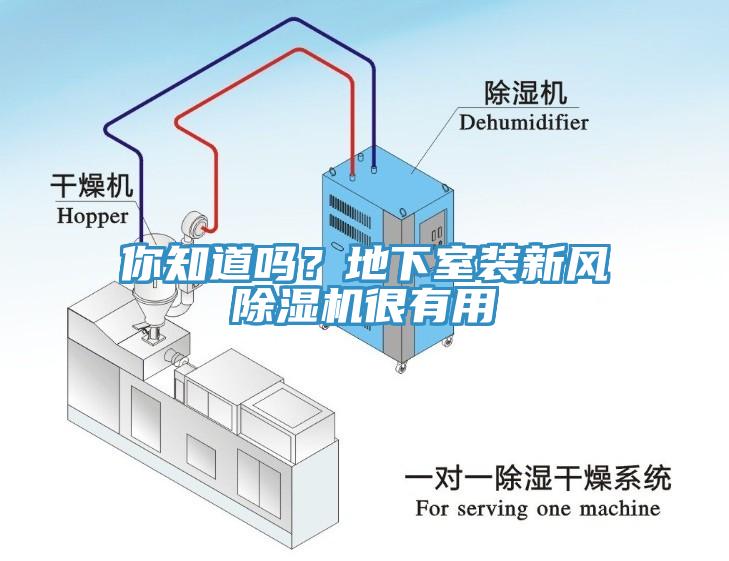 你知道嗎？地下室裝新風(fēng)除濕機(jī)很有用
