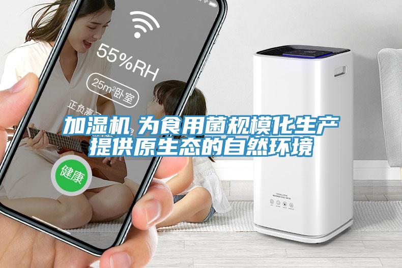加濕機(jī)　為食用菌規(guī)?；a(chǎn)提供原生態(tài)的自然環(huán)境