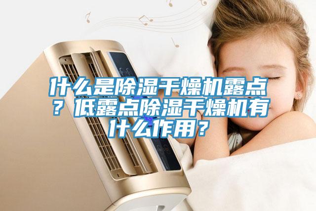 什么是除濕干燥機(jī)露點(diǎn)？低露點(diǎn)除濕干燥機(jī)有什么作用？