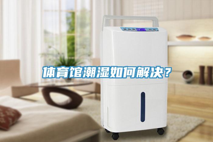 體育館潮濕如何解決？