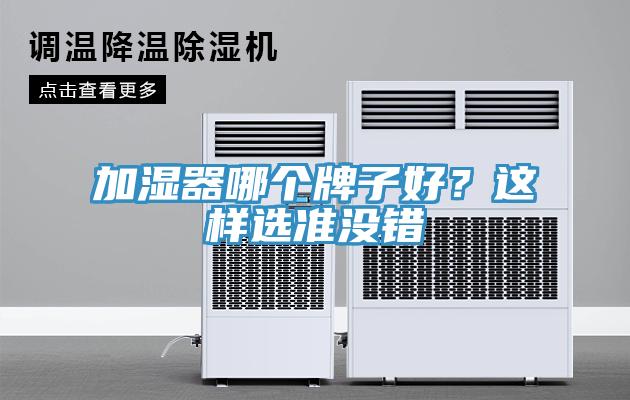 加濕器哪個牌子好？這樣選準(zhǔn)沒錯